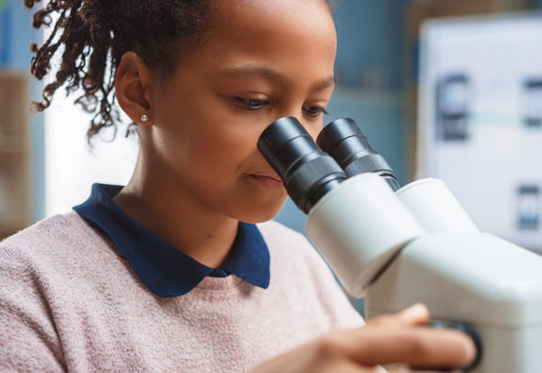 The_Grove_at_Cold_Spring_600x413_Education